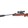 Gamo Hunter 1250 kaufen | 42 Joule Luftgewehr